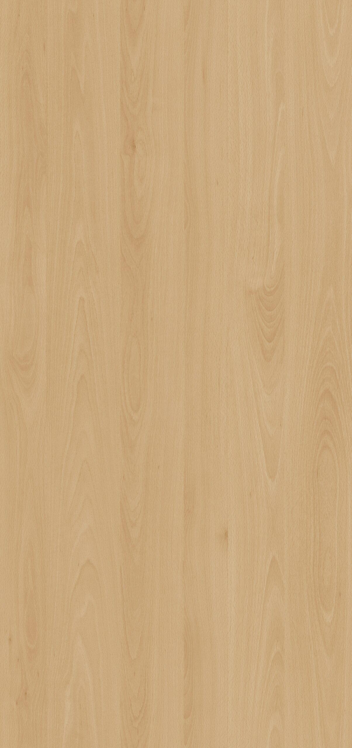 Haya Woodland