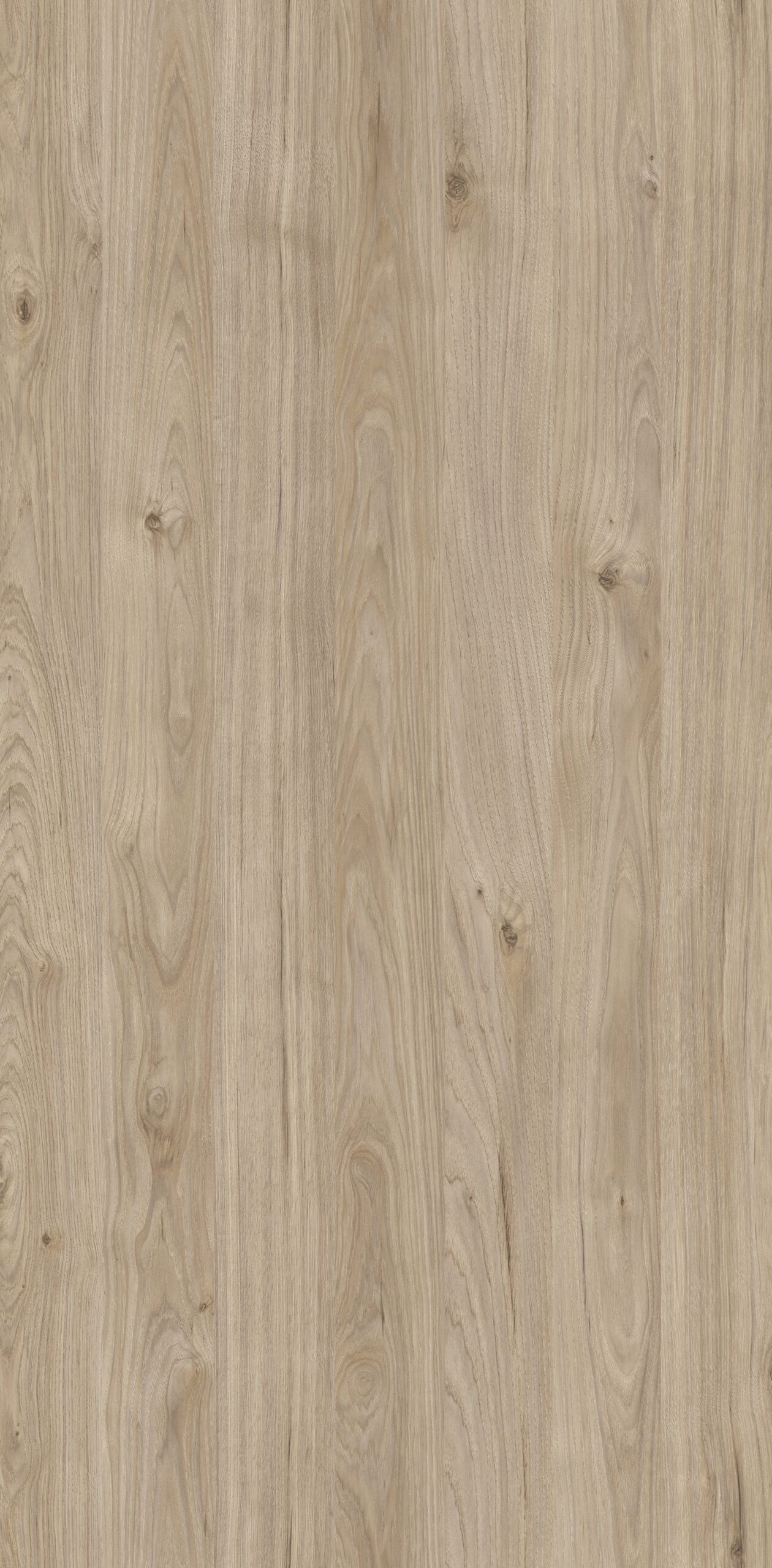 Madera Cosmopolitan 1